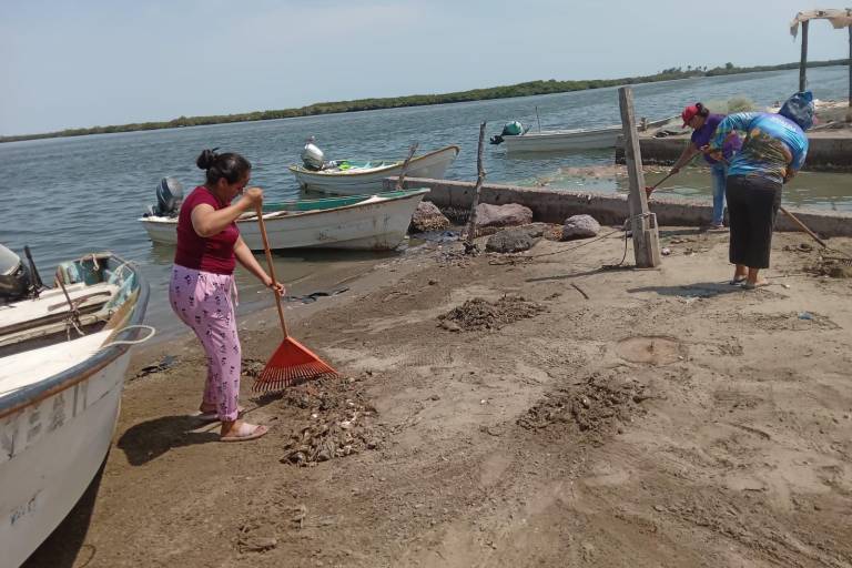 Descartan contaminación en Yameto pese a aparición de peces muertos