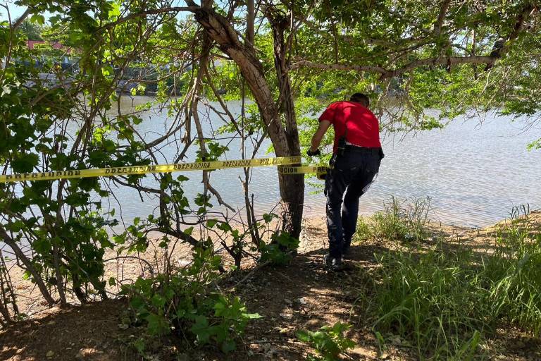 Delimitan Estero del Yugo en Mazatlán por presencia de cocodrilos