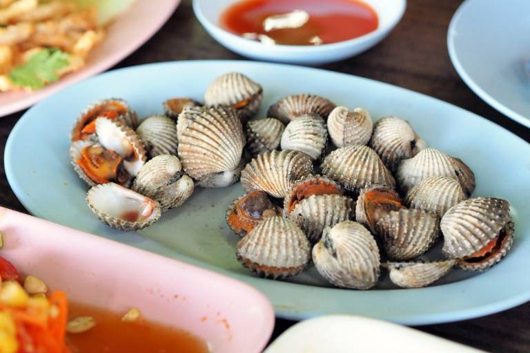 Declaran veda para ostión, callo, pata y caracol en zona costera de San Ignacio y Elota