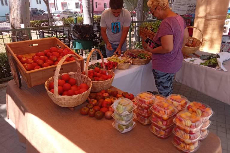Invitan a asistir a los dos últimos sábados del Mercado Orgánico de Mazatlán
