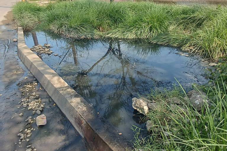 Persisten derramamientos de drenaje en avenidas de Mazatlán