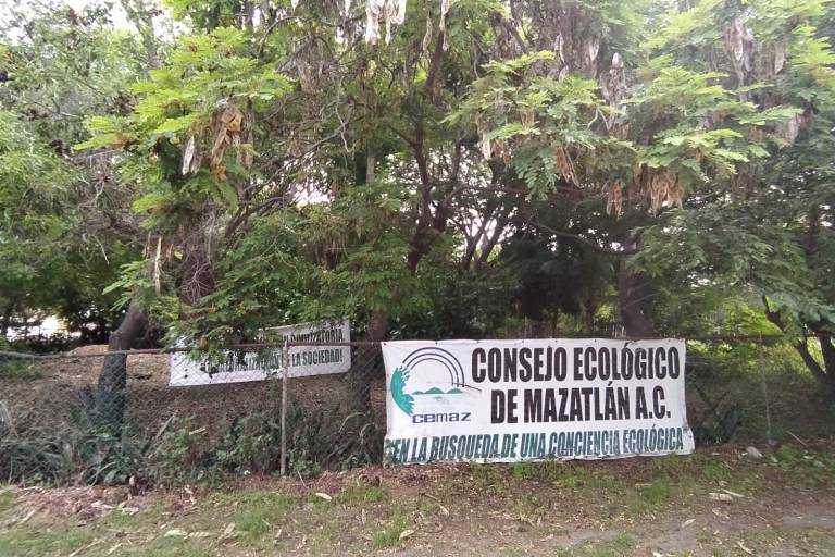 Gobierno de Mazatlán analiza dar marcha atrás a la entrega de terrenos del Bosque de la Ciudad para pagar deuda millonaria
