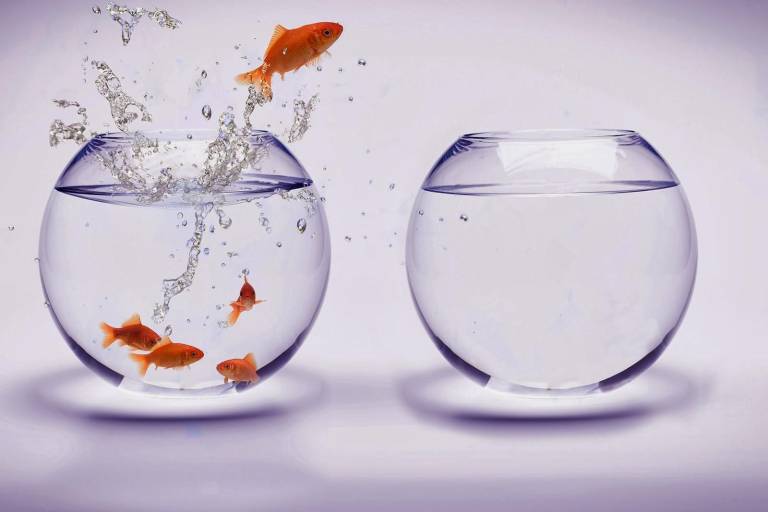 El poderoso impacto de la percepción