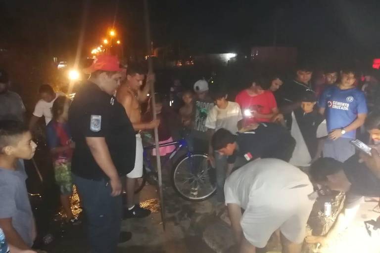 Aseguran en Santa Fe, en Mazatlán, un cocodrilo