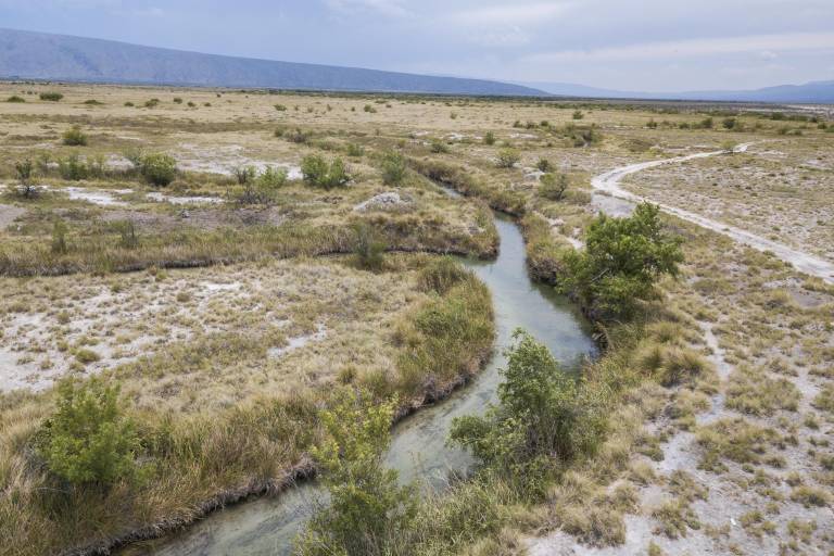 Salvar o destruir el Valle de Cuatrociénegas