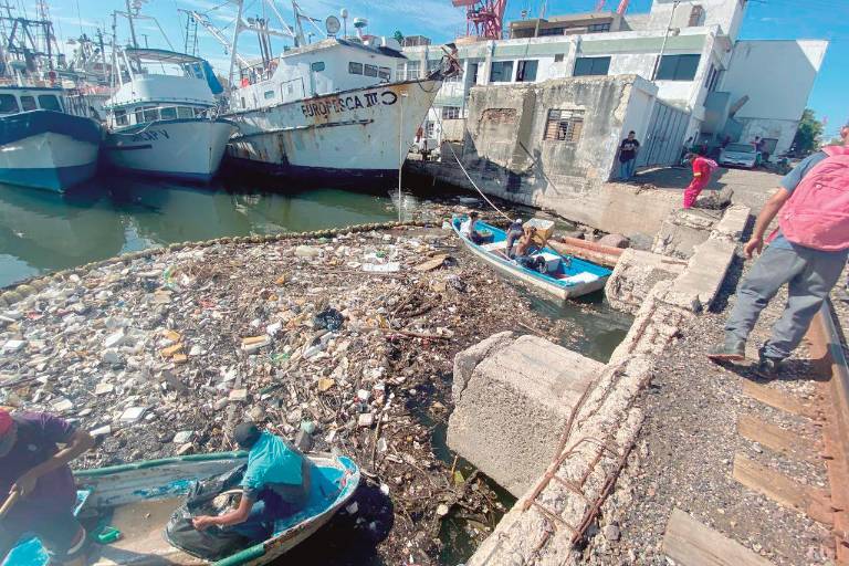 Y la historia continúa...