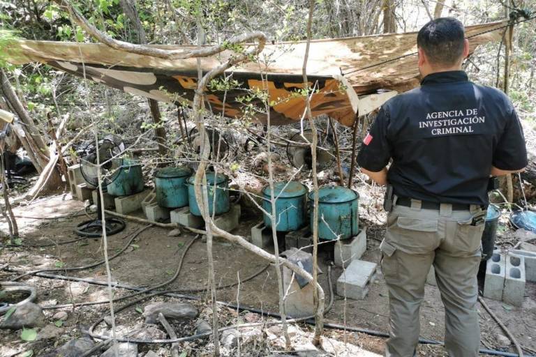 Ejército Mexicano asegura más de 7 mil pastillas de droga sintética durante enero en Sinaloa