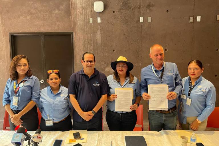 Gran Acuario Mazatlán Mar de Cortés y SUCEDE trabajan en pro de la tortuga marina y la salud de los mares
