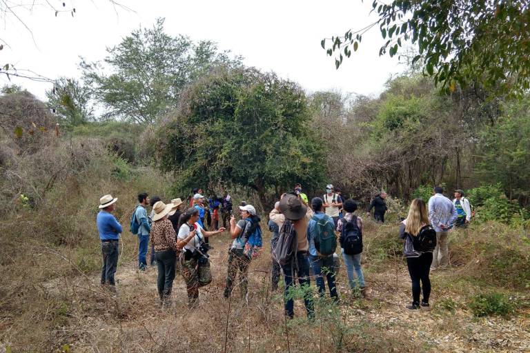 Inicia en Culiacán reto naturalista urbano; llaman a sumarse a la exploración y conteo de flora y fauna