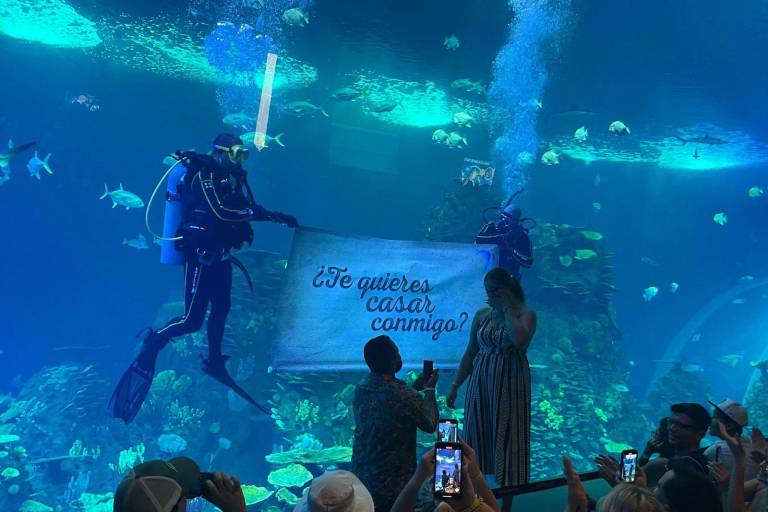 Pareja de Arizona se compromete en el Gran Acuario Mazatlán Mar de Cortés