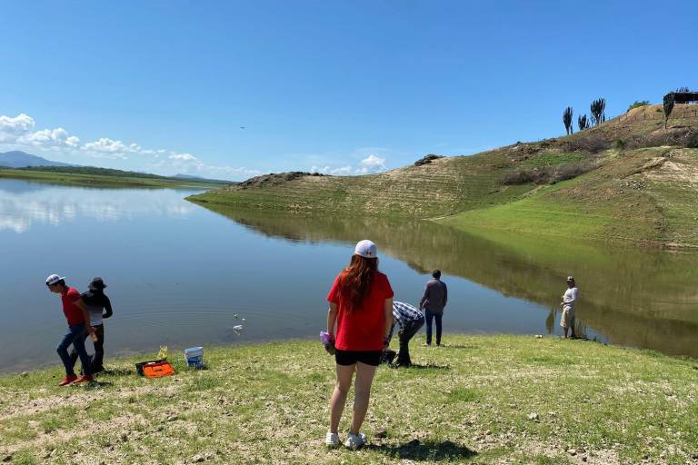 Llama biólogo a cuidar ‘Narnia’ durante el Festival del Globo