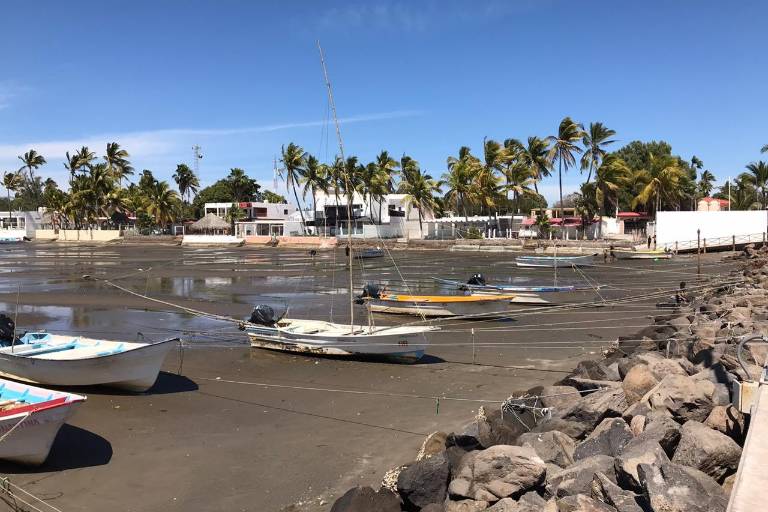 Declaran veda sanitaria de ostión, callo de hacha, almeja, y otros moluscos, en Altata