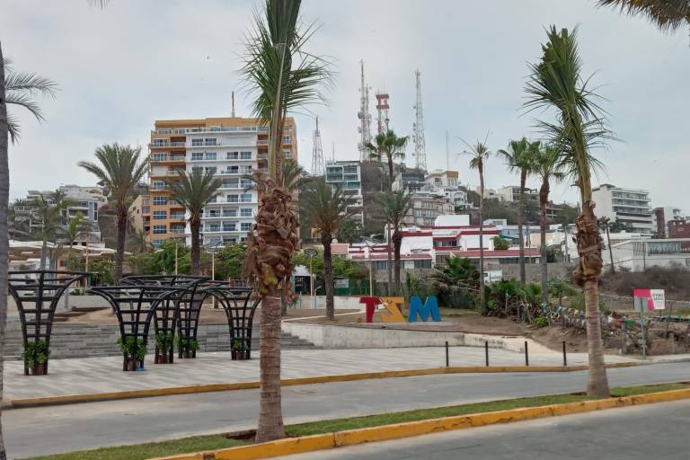 Colocan nuevas palmeras tras polémica generada por la tala de dos ejemplares en el Paseo Claussen de Mazatlán