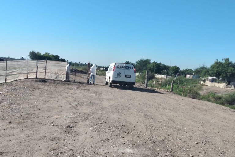 Hallan a mujer asesinada en campo agrícola de Villa Juárez, Navolato