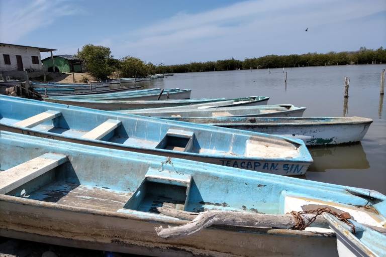 En 20 años, pescadores de El Huizache no habían tenido repunte de 400 toneladas