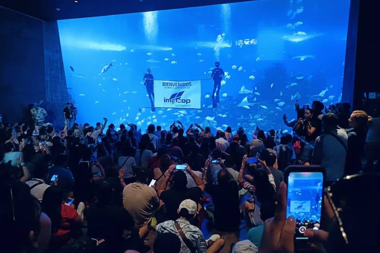 Disfrutan agentes de viajes del País del Gran Acuario Mazatlán
