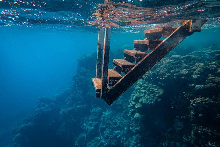 La escalera al desarrollo