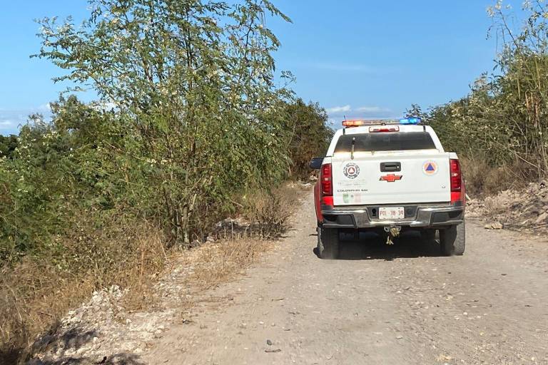 Moviliza a Protección Civil y policías reporte de tigre suelto en Culiacán