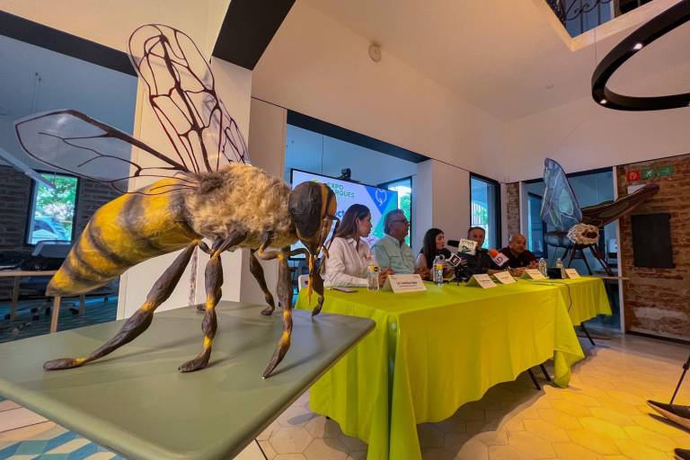 Llega a Culiacán ‘Insectus. Ciencia Arte Cultura’, de Levon Biss