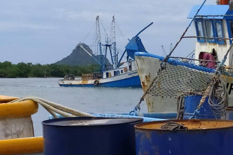 Camaroneros de Mazatlán se refugian en el puerto ante posible embate de ‘Pamela’