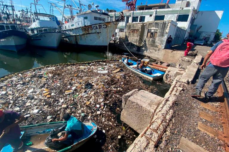 Y la historia continúa...