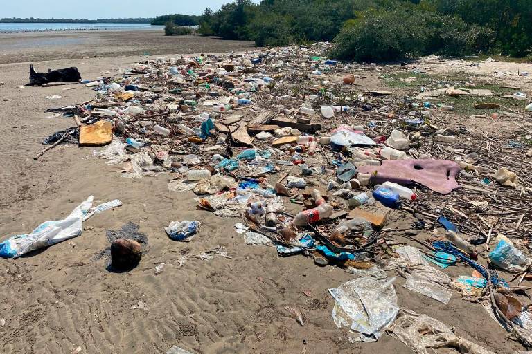 Y la historia continúa...