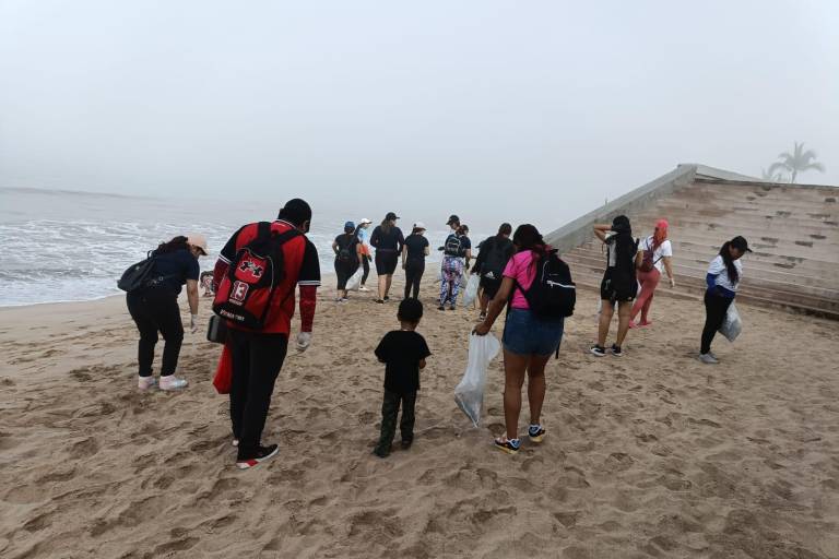 Busca Gran Acuario Mazatlán aliados para ‘Despertar nuevas profundidades’; limpieza de playas