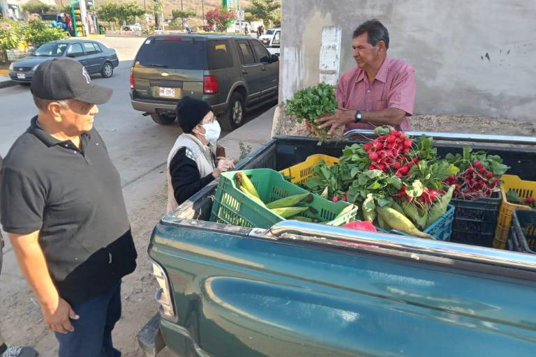 Llegaron los elotes de Don Tolo a Rosario, también el cilantro y los rabanitos