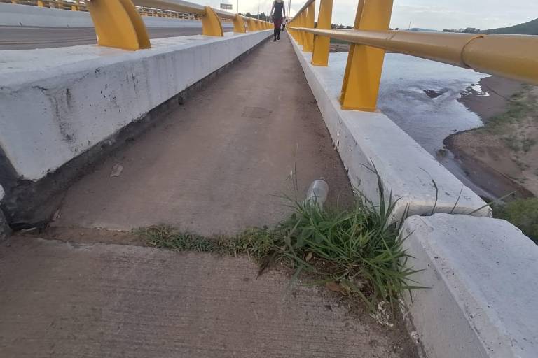 Puente del Río Baluarte, en Rosario, luce en el olvido
