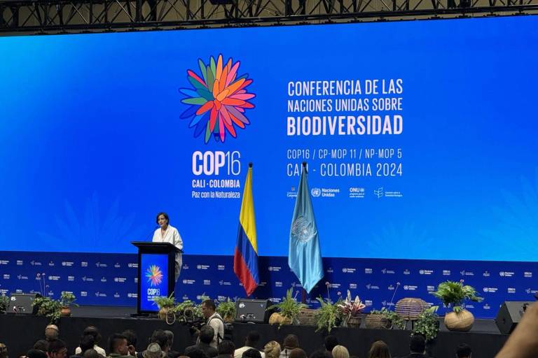 La COP16 de Biodiversidad inicia con cuatro objetivos en la mira
