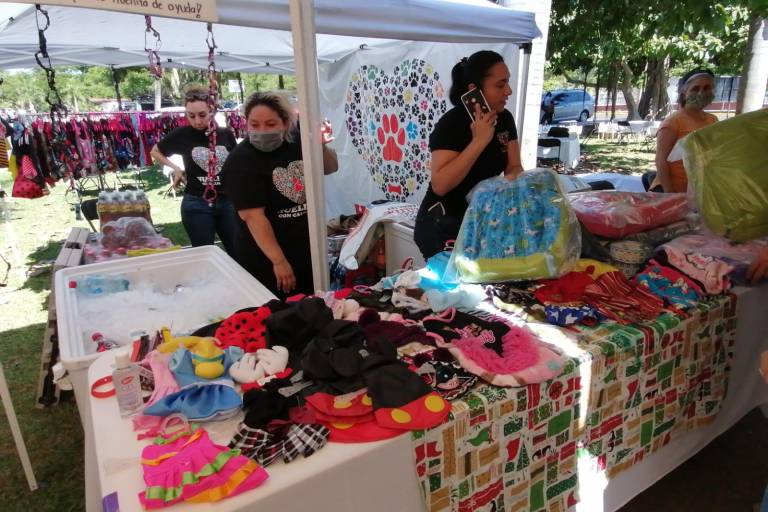 Realizan en Culiacán la tercera edición del ‘Viscocho Bazars’ para apoyar a emprendedores sinaloenses