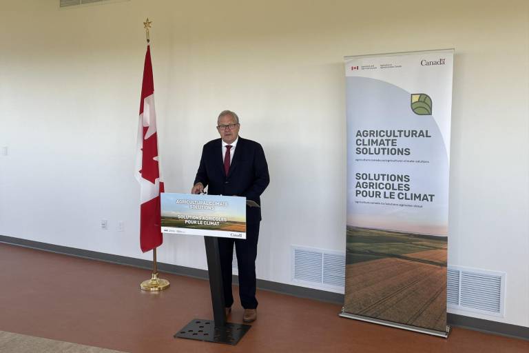 Canadá se une a EU en panel contra México por maíz transgénico