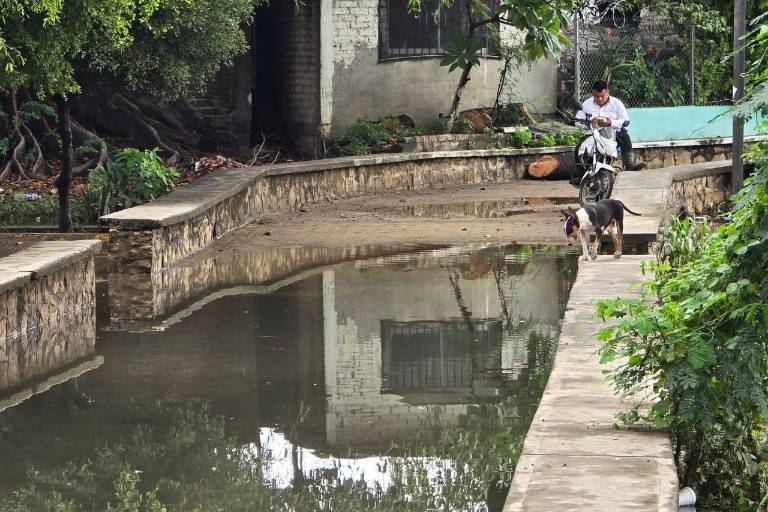 Se desbordan lagunas de El Rosario por tercera vez en la temporada; colonias reportan inundaciones y temor por contaminación