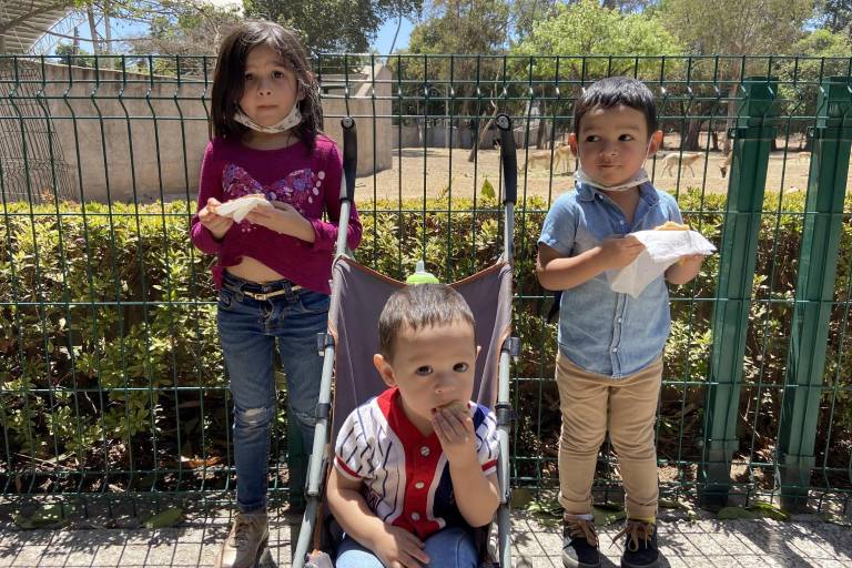 Conocen al elefante Big Boy