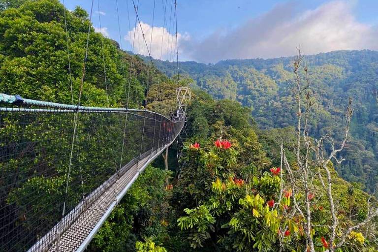 Inscribe la UNESCO 42 nuevos sitios en la Lista del Patrimonio Mundial