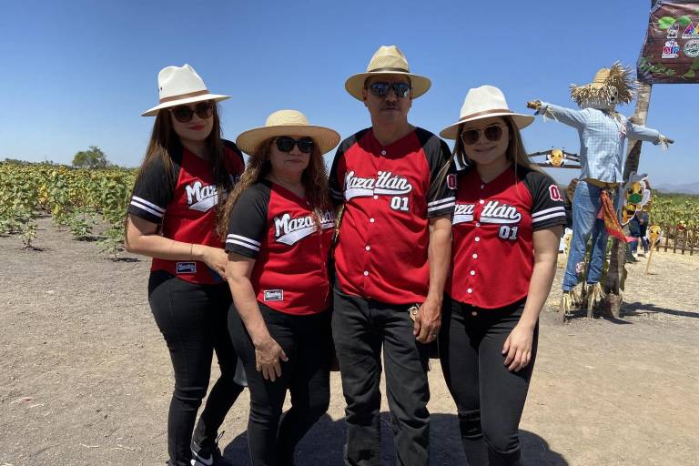 Florecen girasoles en Mocorito