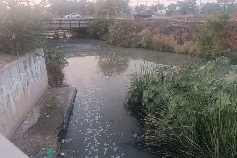 Infestado de drenaje y con mal olor luce el arroyo Jabalines de Mazatlán