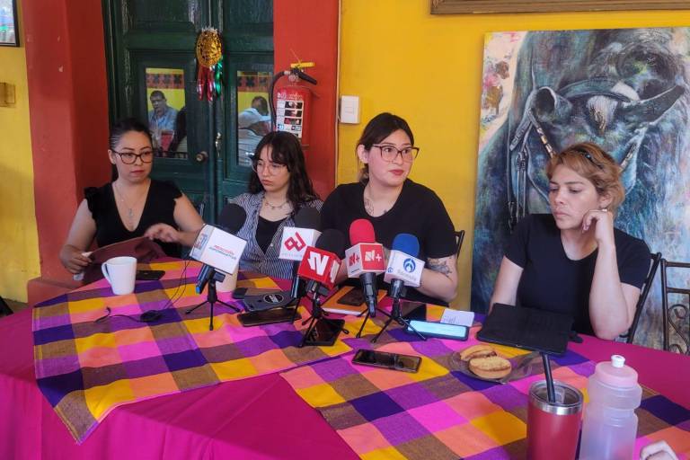 Exigen a DIF Sinaloa cumplir el debido proceso antes de quitar la custodia a mamás