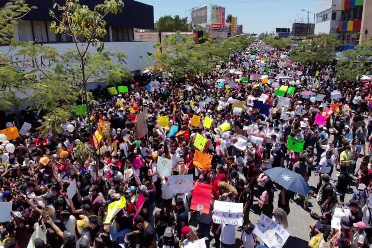 Despierta una macroprotesta el asesinato del perrito ‘Rodolfo’