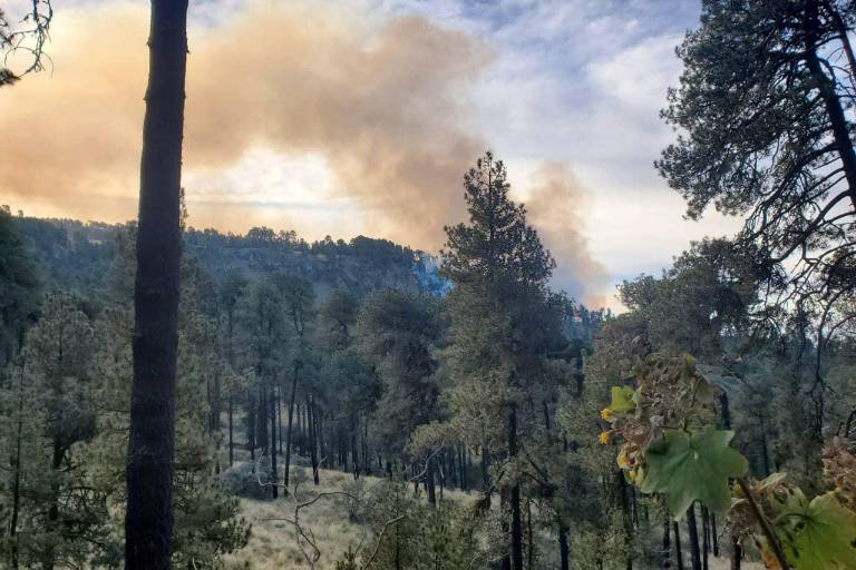 Por incendio forestal, cierran parque Izta-Popo hasta nuevo aviso