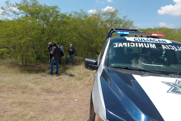 Halla colectivo de búsqueda restos óseos en zona enmontada de La Costerita