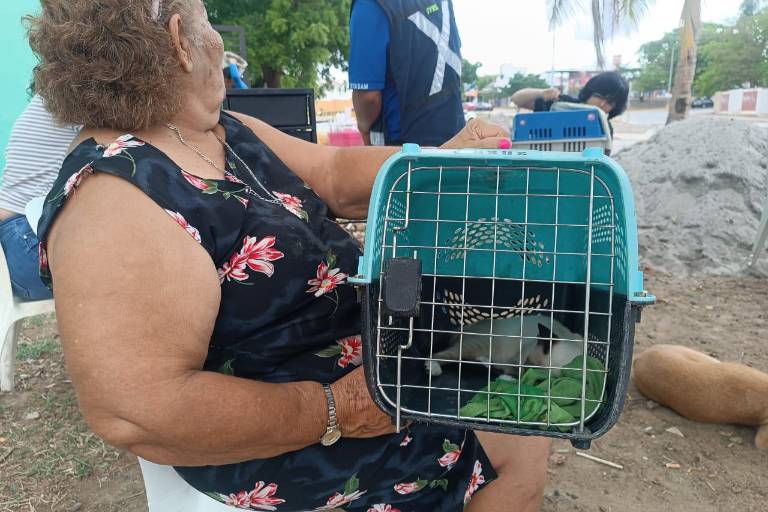 Demuestran mazatlecos compromiso por la salud de sus mascotas