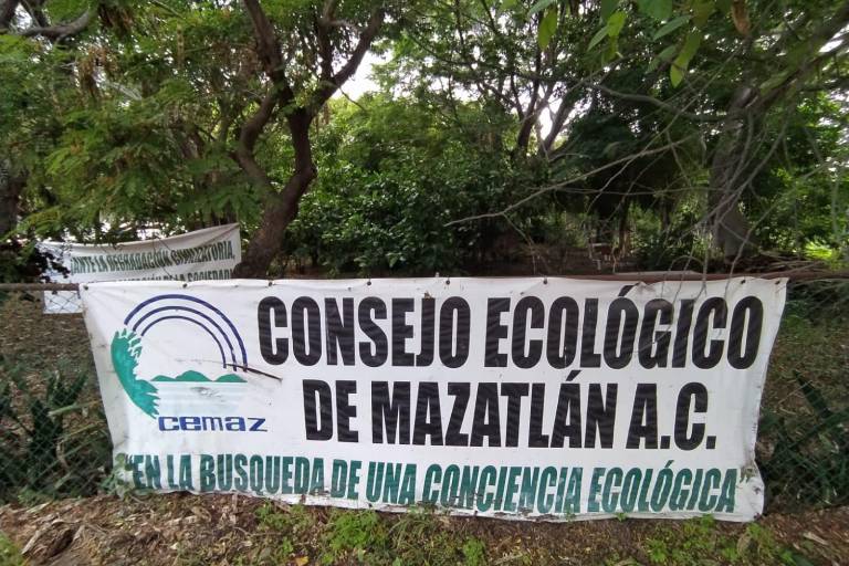 Ecologistas de Mazatlán piden al Presidente de la República que no les quiten terreno en el Bosque de la Ciudad