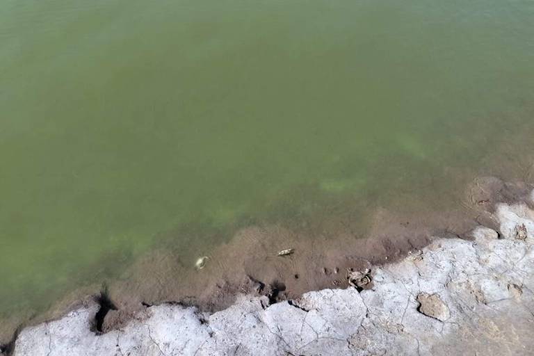 Genera temor mancha verde y espuma blanca en el Huizache-Caimanero