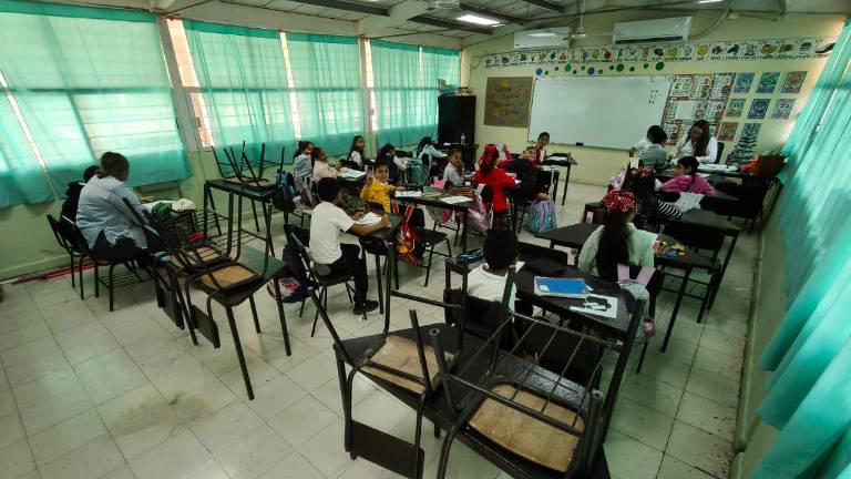 En escuelas de Rosario, reportan una afluencia del 80 por ciento tras el regreso a clases.
