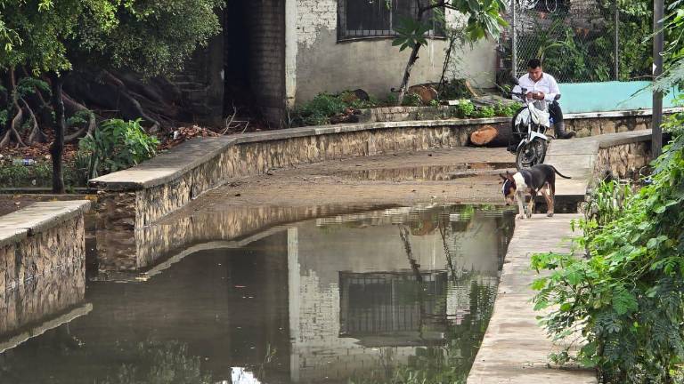 Las lagunas del Iguanero y Zacatecas se salieron de su cauce, afectando principalmente a la colonia Calderón, donde se inundaron calles, parques y andadores.