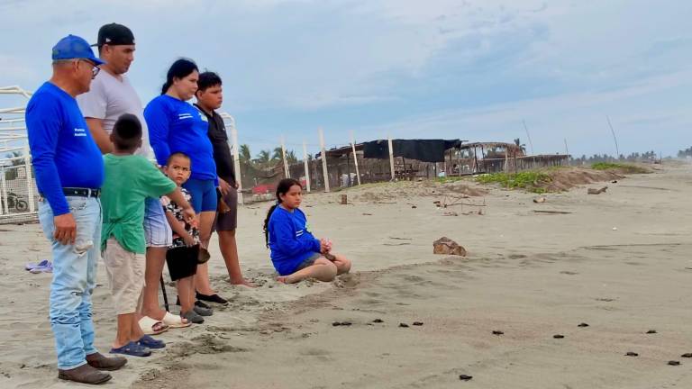 En el campamento tortuguero de El Caimanero inician los trabajos de preparación para la conservación de la tortuga marina y liberan a las primeras crías.