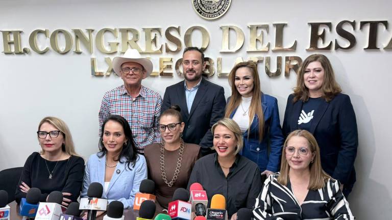 Erika Sánchez presentó ante el Congreso de Sinaloa una iniciativa para limitar nuevas licencias de ultramarinos cerca de escuelas; la respaldan diputados del PRI, PAN y Movimiento Ciudadano.