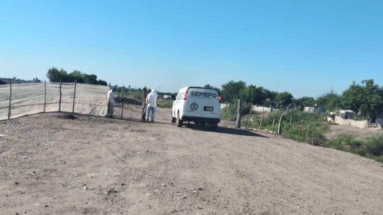 Hallan a mujer asesinada en campo agrícola de Villa Juárez, Navolato