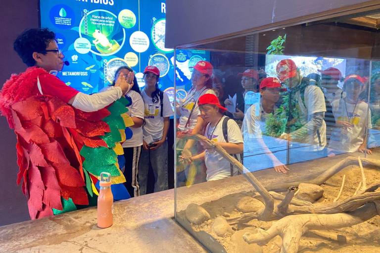 Niños del CRIT Sinaloa visitan el Gran Acuario Mazatlán